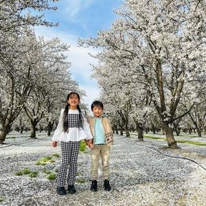 Meet your Posher, Bebe